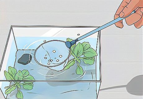 ?？隰~缸維護【《?？隰~缸維護》】 海口魚缸維護【《?？隰~缸維護》】 全國水族館企業名錄 第8張