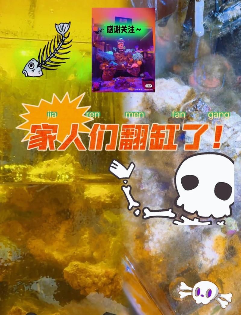 ?？隰~缸維護【《?？隰~缸維護》】 ?？隰~缸維護【《?？隰~缸維護》】 全國水族館企業名錄 第11張