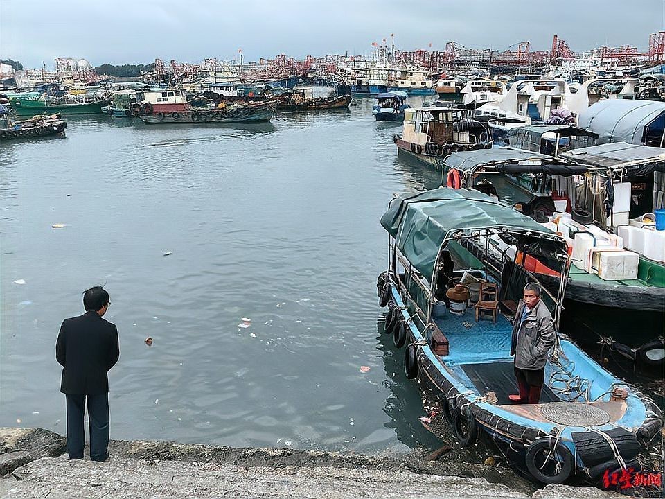 山陽(yáng)龍魚(yú)店【山陽(yáng)龍魚(yú)店有在線銷售嗎】 山陽(yáng)龍魚(yú)店【山陽(yáng)龍魚(yú)店有在線銷售嗎】 全國(guó)水族館企業(yè)名錄 第5張