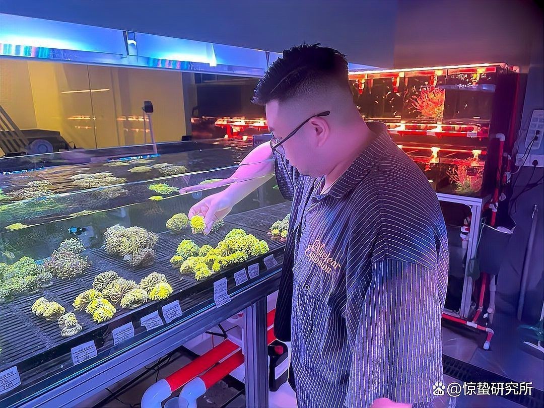 廣州聚流水族老板是誰【廣州聚流水族用品有限公司】