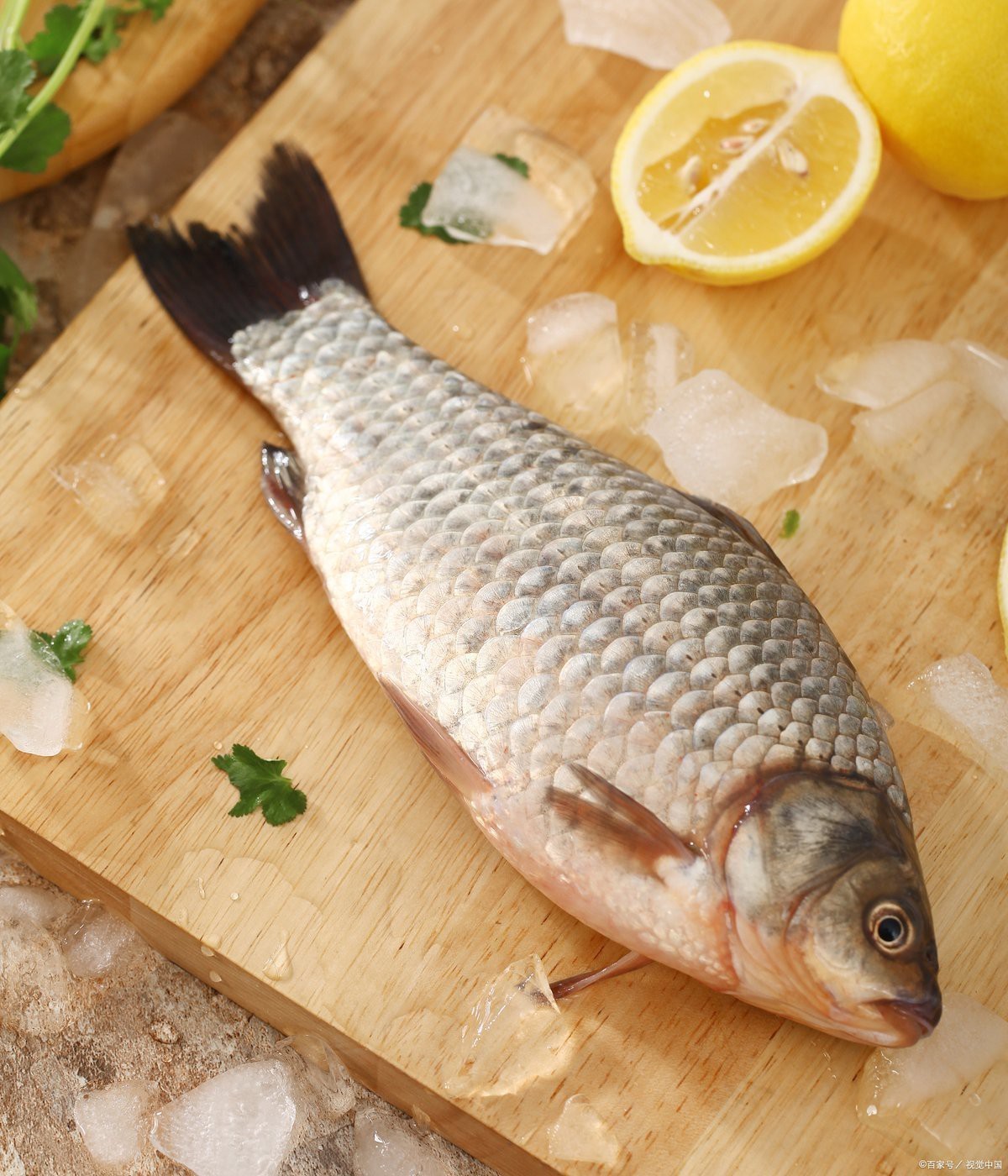 水鼻魚為何要盡量少吃【水鼻魚為何要盡量少吃水鼻魚：生態保護與健康風險】