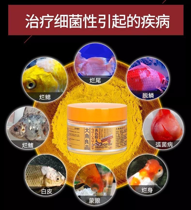 魚病的10種癥狀圖片【觀賞魚常見疾病10種典型癥狀及治療方法】 魚病的10種癥狀圖片【觀賞魚常見疾病10種典型癥狀及治療方法】 龍魚百科 第4張