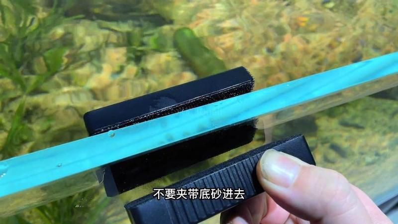 巢湖魚缸維護【巢湖特色魚缸維護全攻略巢湖魚缸維護全攻略】 巢湖魚缸維護【巢湖特色魚缸維護全攻略巢湖魚缸維護全攻略】 全國水族館企業(yè)名錄 第17張