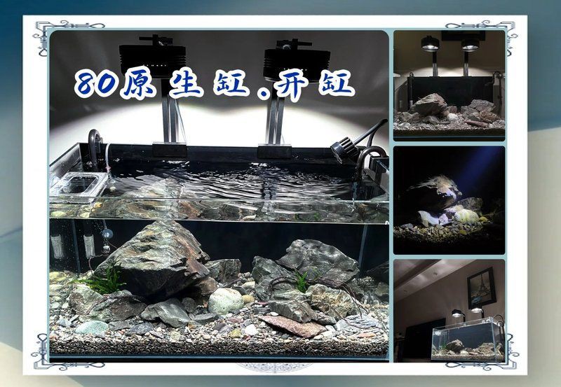 流水魚缸【《流水魚缸》《流水魚缸》】