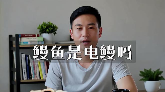 電鰻和鰻魚有什么區別【電鰻與鰻魚有什么區別三分情報電鰻與鰻魚有什么區別】 電鰻和鰻魚有什么區別【電鰻與鰻魚有什么區別三分情報電鰻與鰻魚有什么區別】 龍魚論壇 第2張