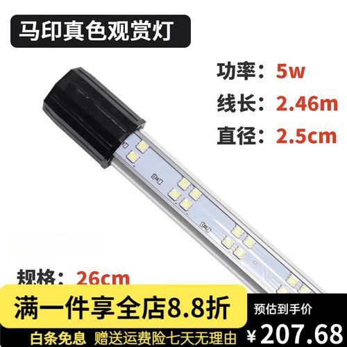 馬印神燈真假鑒別圖解【馬印神燈真偽鑒別】 馬印神燈真假鑒別圖解【馬印神燈真偽鑒別】 龍魚百科 第26張