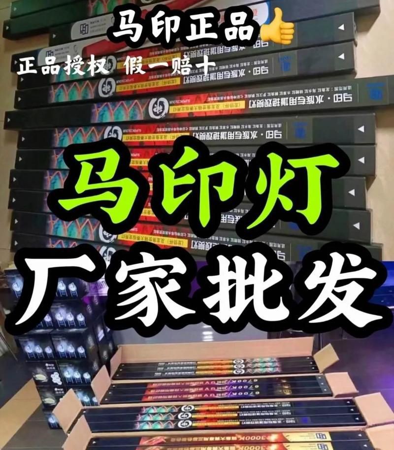 馬印神燈真假鑒別圖解【馬印神燈真偽鑒別】 馬印神燈真假鑒別圖解【馬印神燈真偽鑒別】 龍魚百科 第14張