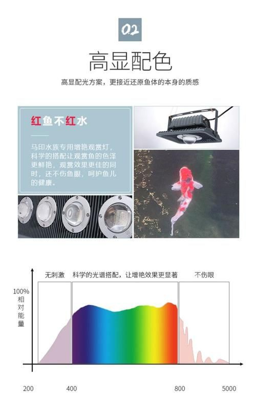 馬印神燈真假鑒別圖解【馬印神燈真偽鑒別】 馬印神燈真假鑒別圖解【馬印神燈真偽鑒別】 龍魚百科 第19張