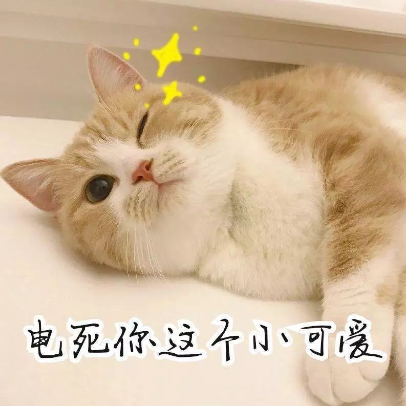 電鰻能電死鯊魚嗎【探秘自然與科技，電鰻突然攻擊鯊魚，本以為會是一場大戰】