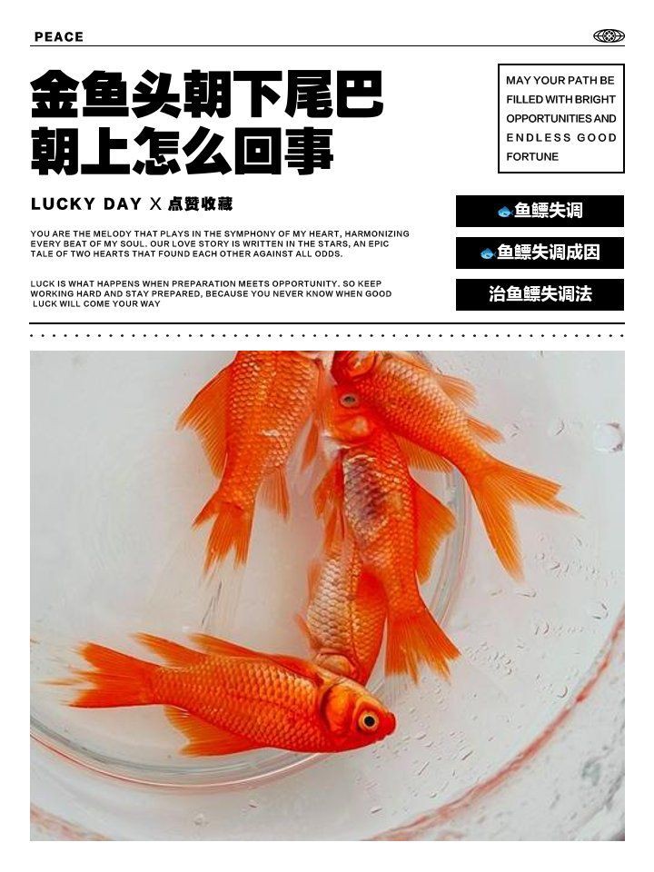 魚頭朝下尾巴朝上怎么治【魚頭朝下尾巴朝下尾巴朝下尾巴朝上的異常狀況可能導致失鰾】