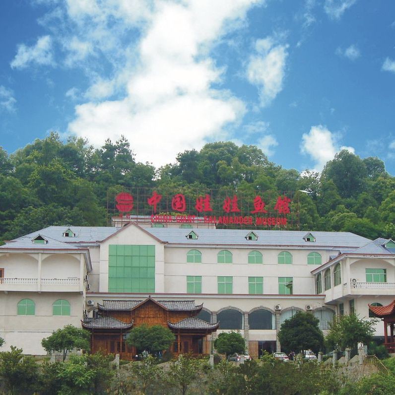 張家界永定龍魚(yú)店【張家界永定區(qū)特色魚(yú)館中國(guó)娃娃魚(yú)館包廂預(yù)定電話多少】
