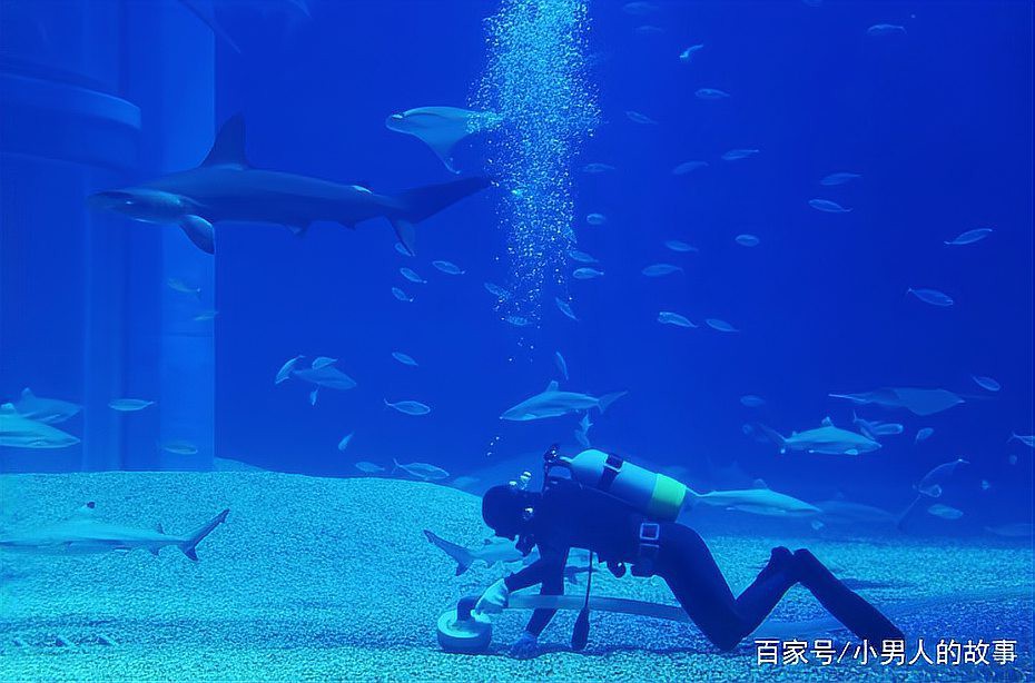 保山水族店【保山市騰越鎮鑫溪水族店2018年10月25日打卡】