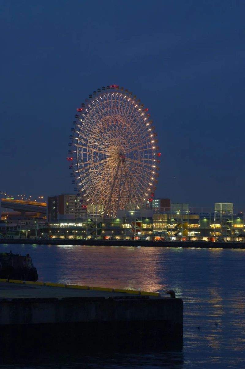 保山水族店【保山市騰越鎮鑫溪水族店2018年10月25日打卡】