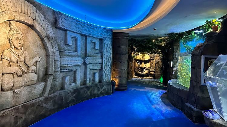 九江縣水族店【5月1日九江海底世界、大中路歷史文化街區(qū)“歡樂亮相”】