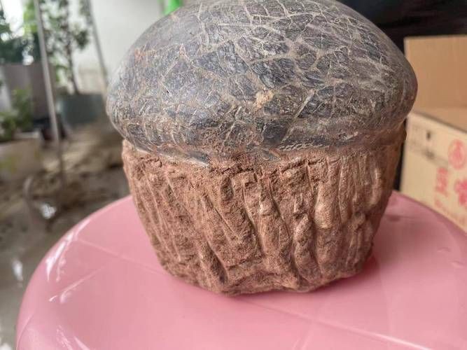 恐龍蛋100萬以上圖片【世界上最珍貴的品種—恐龍蛋化石在江西亮相】