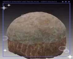 恐龍蛋100萬以上圖片【世界上最珍貴的品種—恐龍蛋化石在江西亮相】