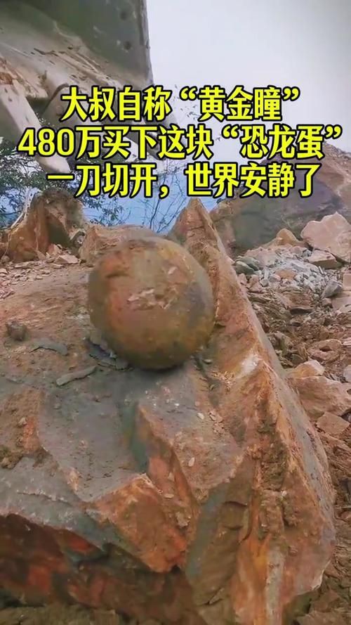 恐龍蛋100萬以上圖片【世界上最珍貴的品種—恐龍蛋化石在江西亮相】