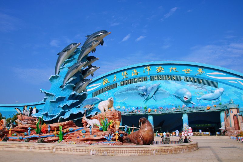 徐州鼓樓水族店【徐州鼓樓區水族店分布廣泛且各具特色且各具特色】
