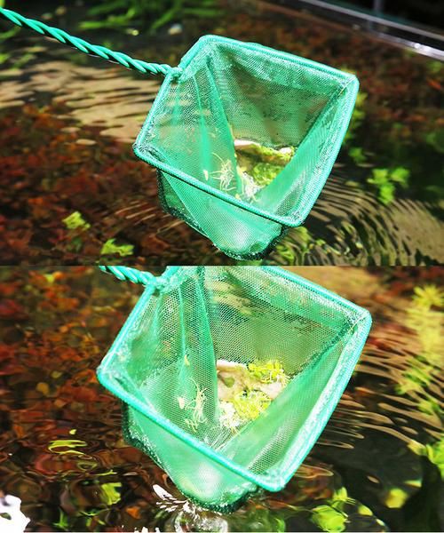 撈魚網兜圖片【《撈魚網兜圖片》】