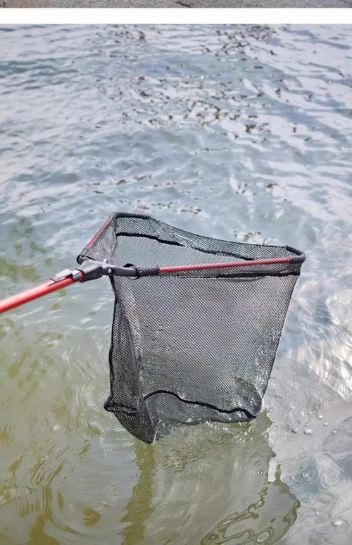 撈魚網兜圖片【《撈魚網兜圖片》】