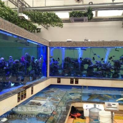 渭南魚缸批發市場【渭南魚缸批發市場分布廣泛】