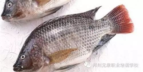 福壽魚吃了不健康嗎【博禾醫生吃福壽魚的好處和壞處有哪些福壽魚對人體有害嗎】