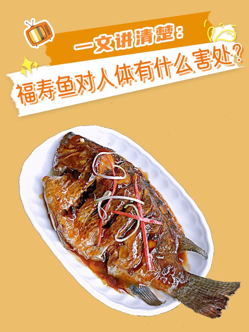 福壽魚吃了不健康嗎【博禾醫生吃福壽魚的好處和壞處有哪些福壽魚對人體有害嗎】