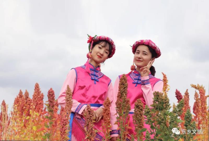 東鄉族龍魚店【東鄉縣有龍魚店嗎？】 東鄉族龍魚店【東鄉縣有龍魚店嗎？】 全國水族館企業名錄 第3張