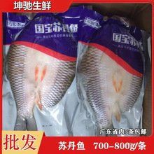 馬來忘不了魚圖片多少錢【馬來西亞名貴魚種“忘不了魚”,湖州大叔養出國產版!】