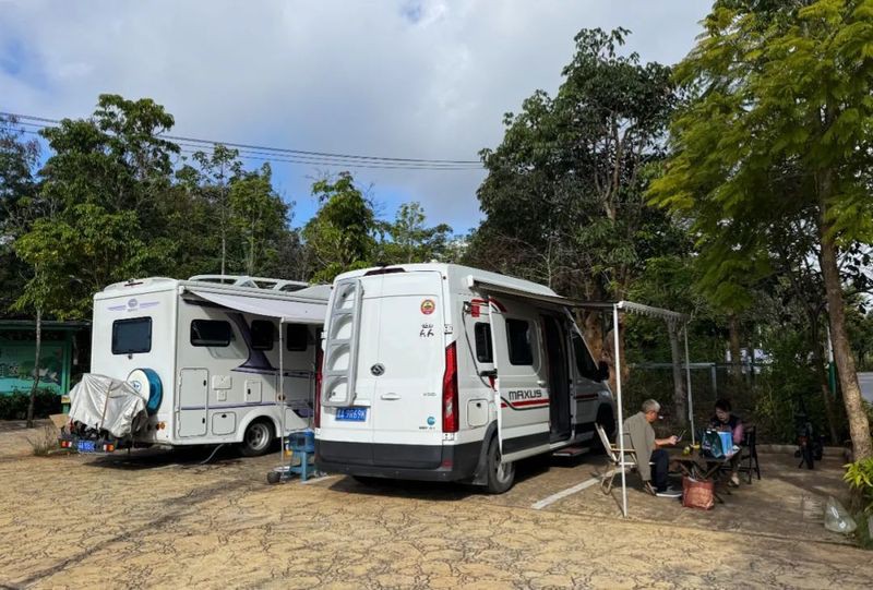 思茅龍魚店【云南普洱思茅龍魚火鍋店在哪里思茅有哪些知名的龍魚火鍋店】 思茅龍魚店【云南普洱思茅龍魚火鍋店在哪里思茅有哪些知名的龍魚火鍋店】 全國水族館企業名錄 第3張