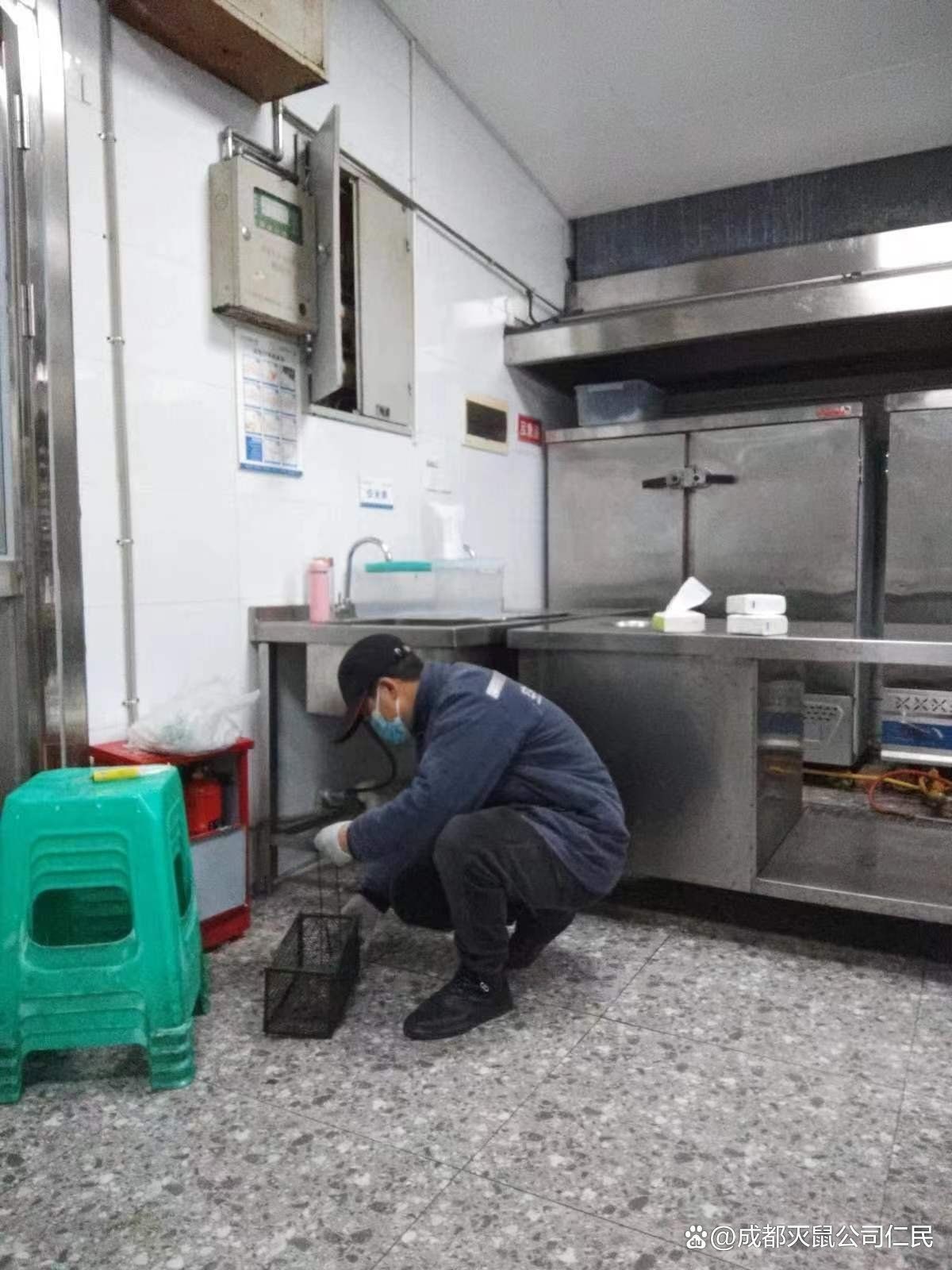 滅鼠公司收費明細【《滅鼠公司收費明細》】