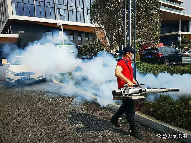 滅鼠公司收費(fèi)明細(xì)【《滅鼠公司收費(fèi)明細(xì)》】 滅鼠公司收費(fèi)明細(xì)【《滅鼠公司收費(fèi)明細(xì)》】 龍魚(yú)百科 第5張
