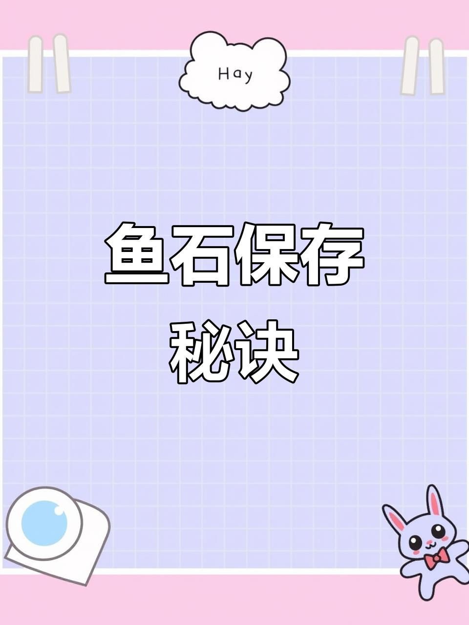 魚龍化石如何保存？【《魚龍化石如何保存》魚龍化石如何保存視頻教你輕松搞定】