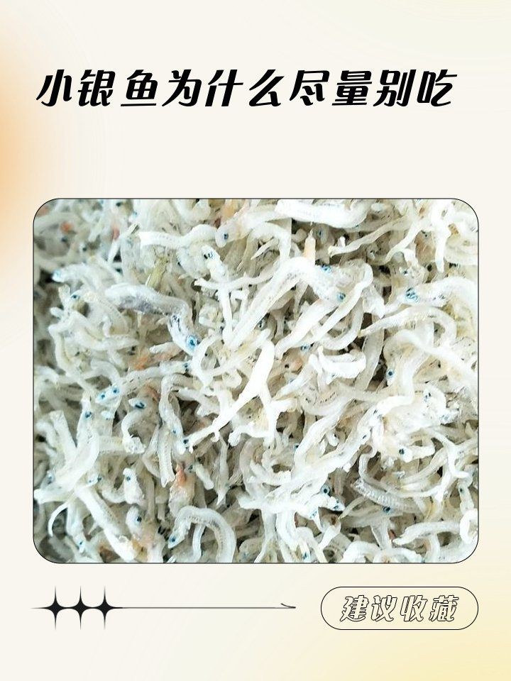 玫瑰銀版魚最忌三種東西【吃銀魚有哪些禁忌嗎】