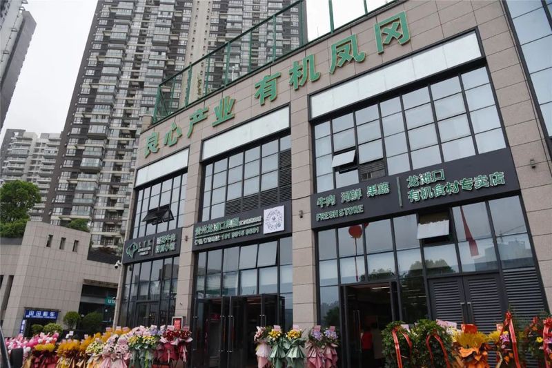 鳳岡龍魚店【鳳岡縣有龍魚店嗎】