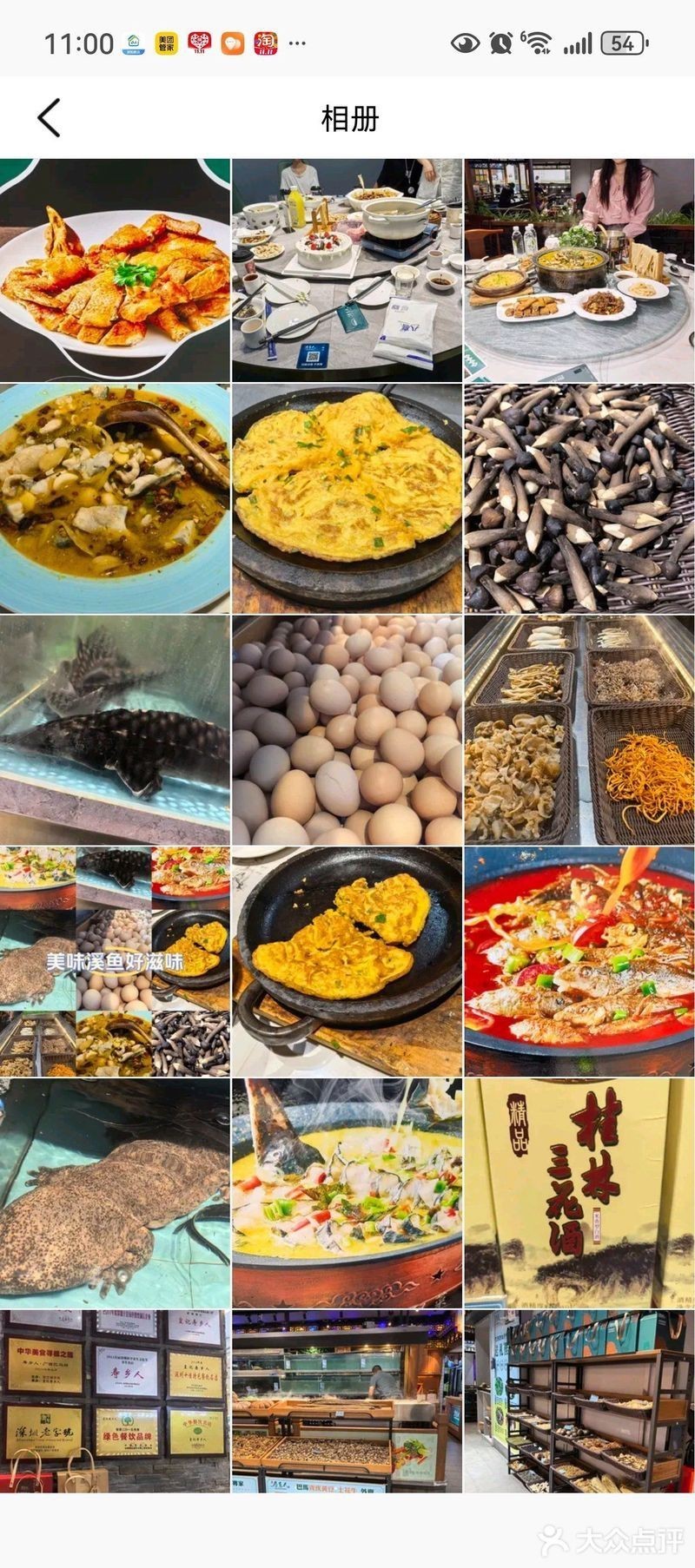 巴馬龍魚店【巴馬龍魚的價格】