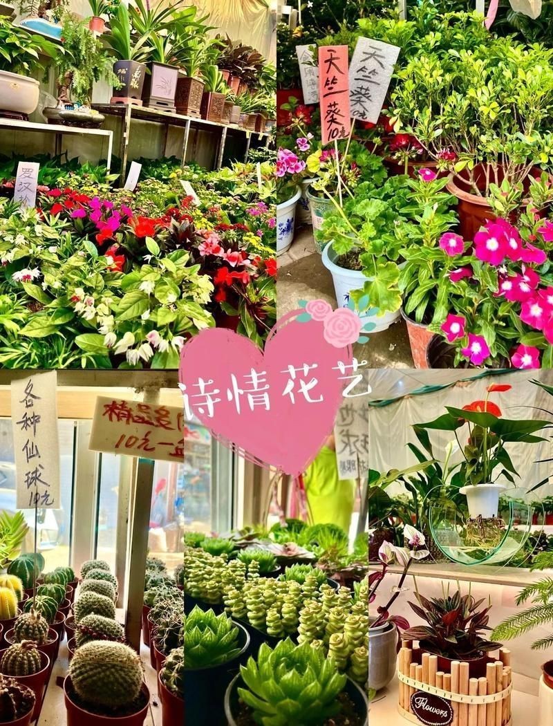 石家莊魚缸批發市場【石家莊家用魚缸批發市場】