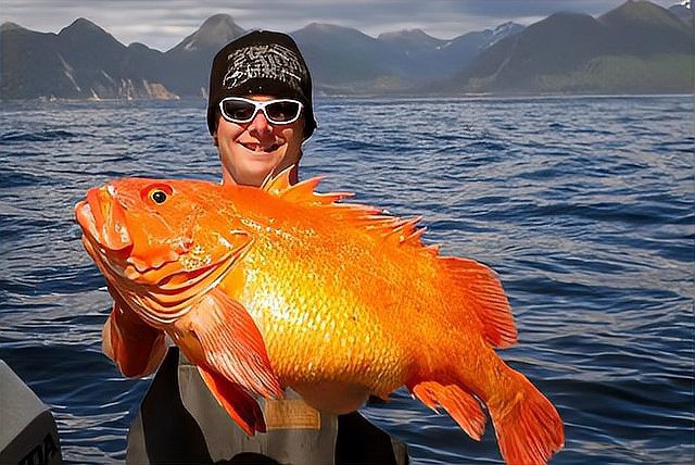 世界上壽命最長的魚排名【世界上壽命最長壽的魚類展現(xiàn)出驚人的生命力與適應(yīng)力】