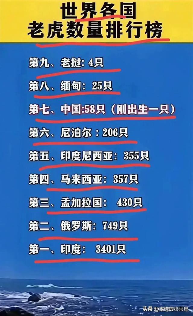 世界各國老虎數量排名【全球55只野生虎數量】