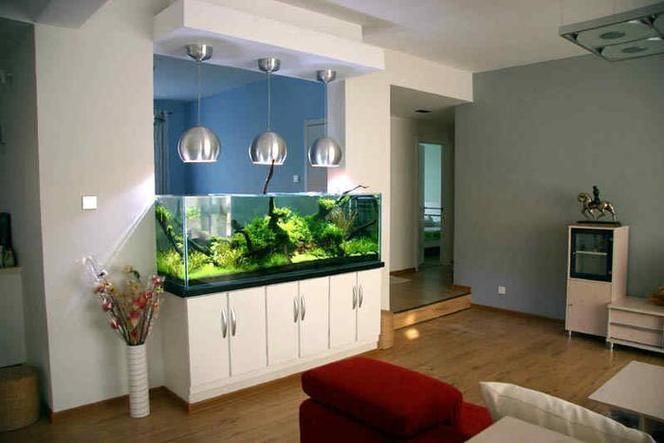 魚缸在客廳的最佳位置示意圖【《魚缸在客廳的最佳位置示意圖》】 龍魚百科 第21張 魚缸在客廳的最佳位置示意圖【《魚缸在客廳的最佳位置示意圖》】 魚缸在客廳的最佳位置示意圖【《魚缸在客廳的最佳位置示意圖》】 龍魚百科 第21張