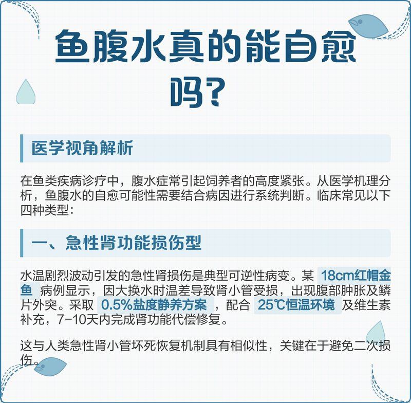 魚腹水會自愈嗎？【孔雀魚腹水能否自愈】
