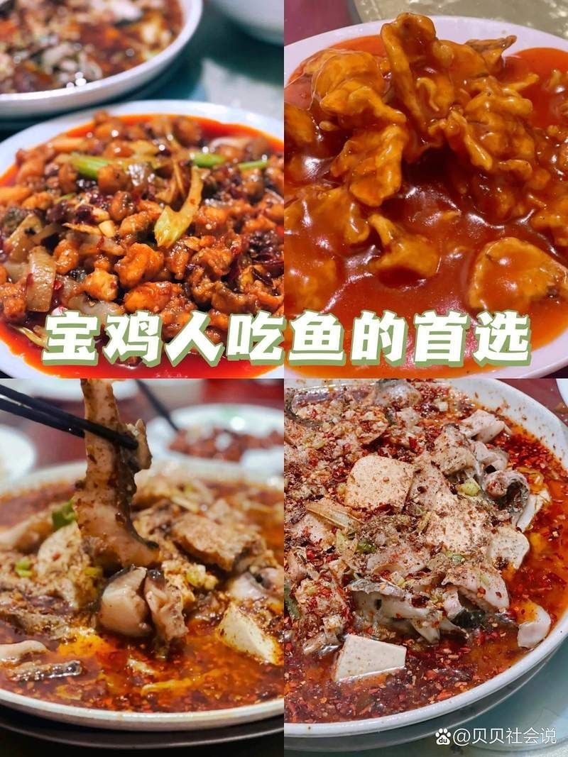 寶雞龍魚店【寶雞的龍魚店以特色魚類美食吸引眾多食客其中曙光路的老店備受推崇】 寶雞龍魚店【寶雞的龍魚店以特色魚類美食吸引眾多食客其中曙光路的老店備受推崇】 全國(guó)水族館企業(yè)名錄 第1張