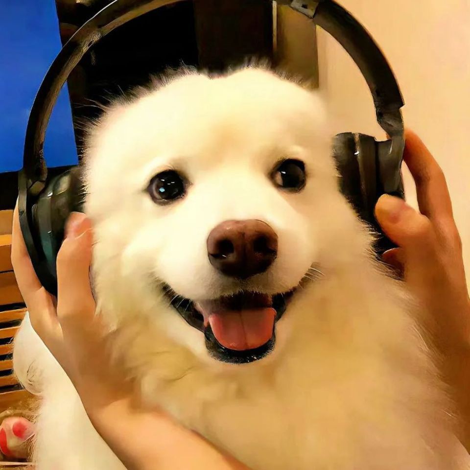 寶雞龍魚店【寶雞的龍魚店以特色魚類美食吸引眾多食客其中曙光路的老店備受推崇】 寶雞龍魚店【寶雞的龍魚店以特色魚類美食吸引眾多食客其中曙光路的老店備受推崇】 全國(guó)水族館企業(yè)名錄 第7張