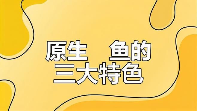 鱲魚(yú)有幾種【養(yǎng)魚(yú)的小李鱲魚(yú)甜甜莓莓醬溪流三兄弟大揭秘】