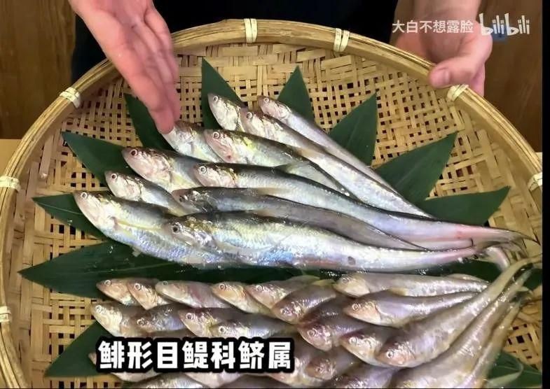 毛刀魚是淡水魚還是海魚【毛刀魚的分類】