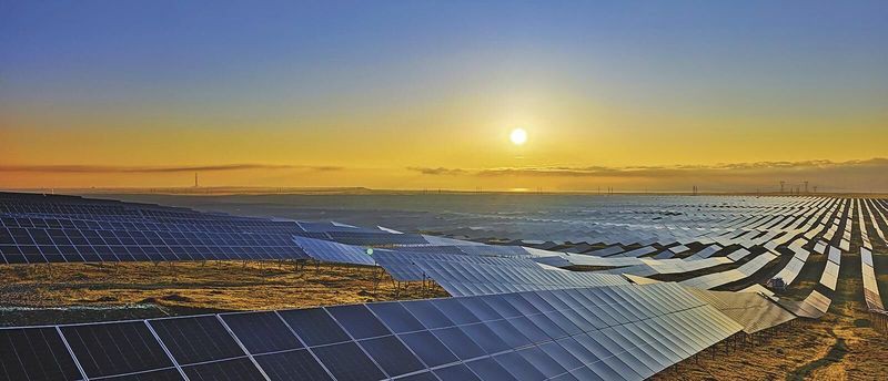 海南藏族自治州魚缸批發市場【海南藏族自治州魚缸批發市場發展前景如何？】