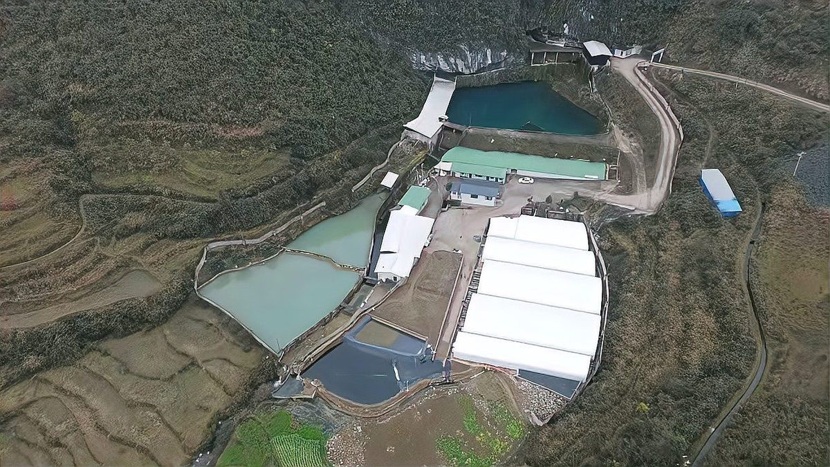岑鞏龍魚店【貴州岑鞏龍魚店經營情況如何岑鞏龍魚店經營情況】