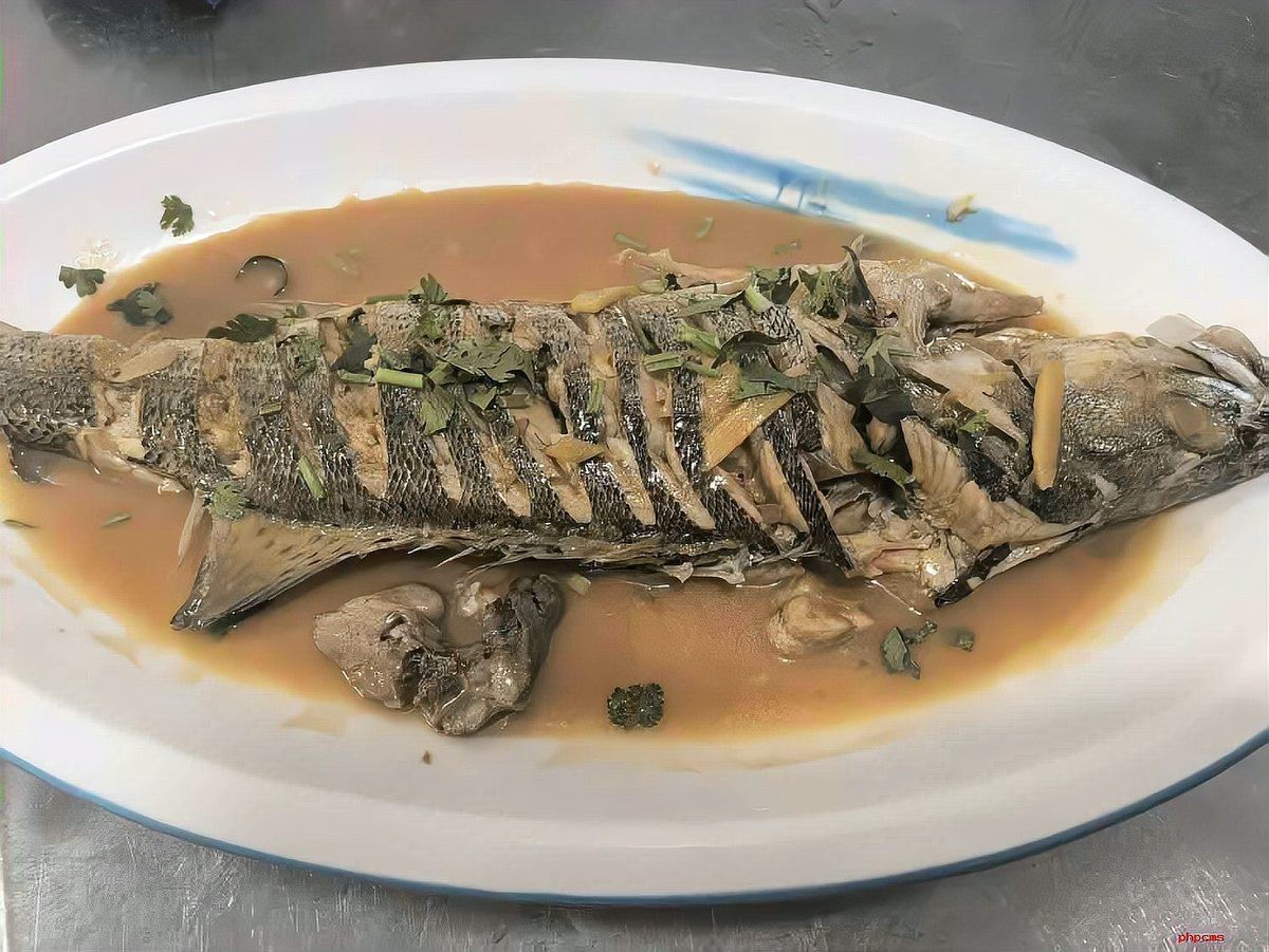 嶗山龍魚店【青島嶗山區龍魚店龍繼斑魚莊包廂費用是多少】 嶗山龍魚店【青島嶗山區龍魚店龍繼斑魚莊包廂費用是多少】 全國水族館企業名錄 第1張