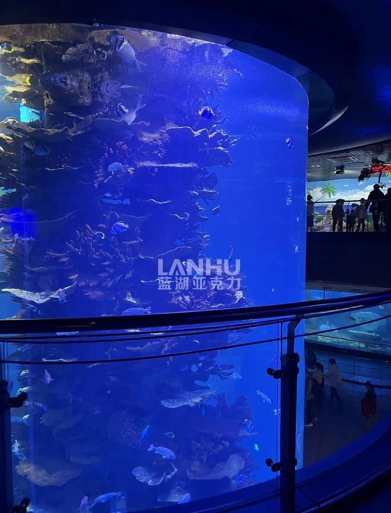 鹽城魚缸維護【鹽城魚缸專業維護全攻略】 鹽城魚缸維護【鹽城魚缸專業維護全攻略】 全國水族館企業名錄 第3張