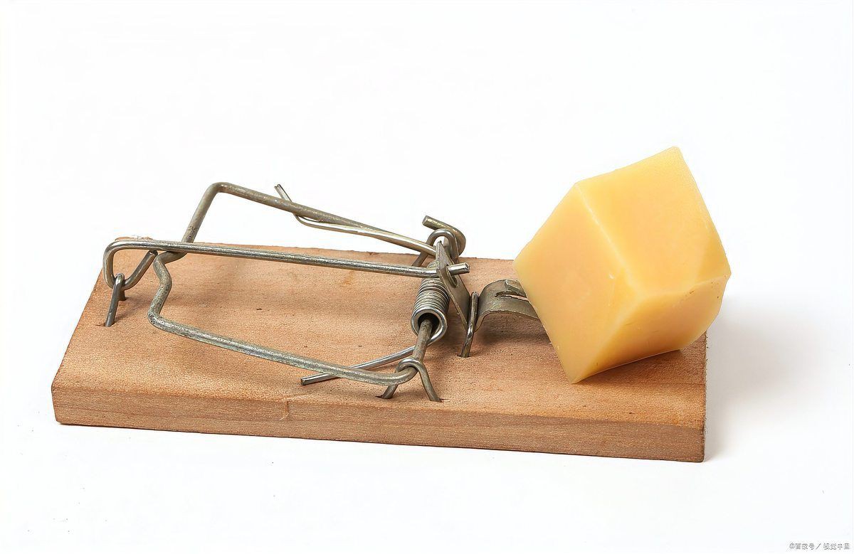 滅鼠最狠的10個絕招【號稱“最狠”的10個滅鼠絕招】